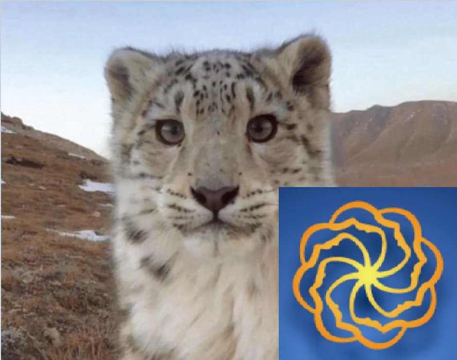 Dimorphist tweet media