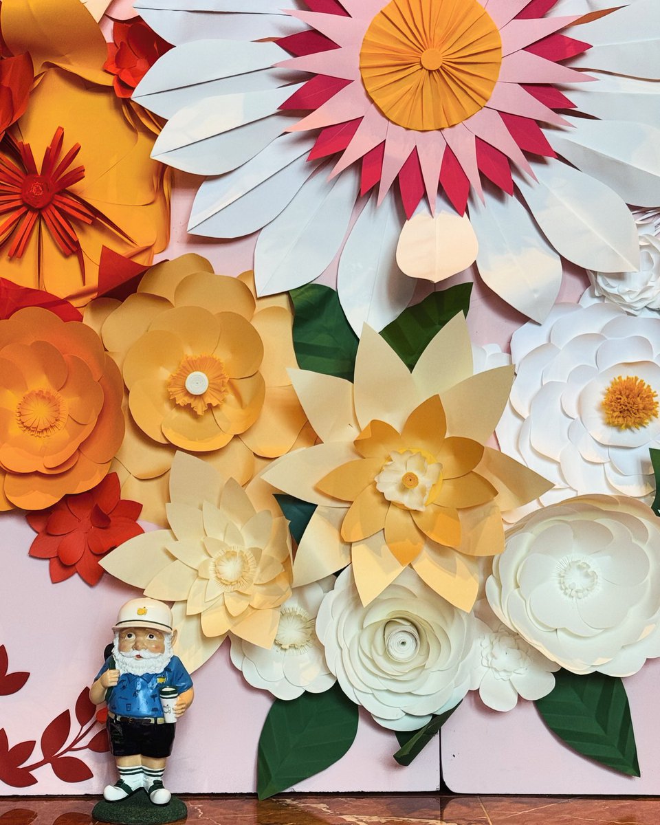 Masters = Gnomes ❤️❤️