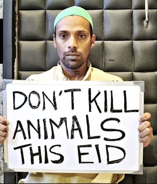 🚨Eid Mubarak - I know None of the so called celebrity would say this but let me mention it, share it if you agree❤️ Don't harm Animals and Eat Vegetarian only.🙏 #EidAlFitr2024 #EidMubarak