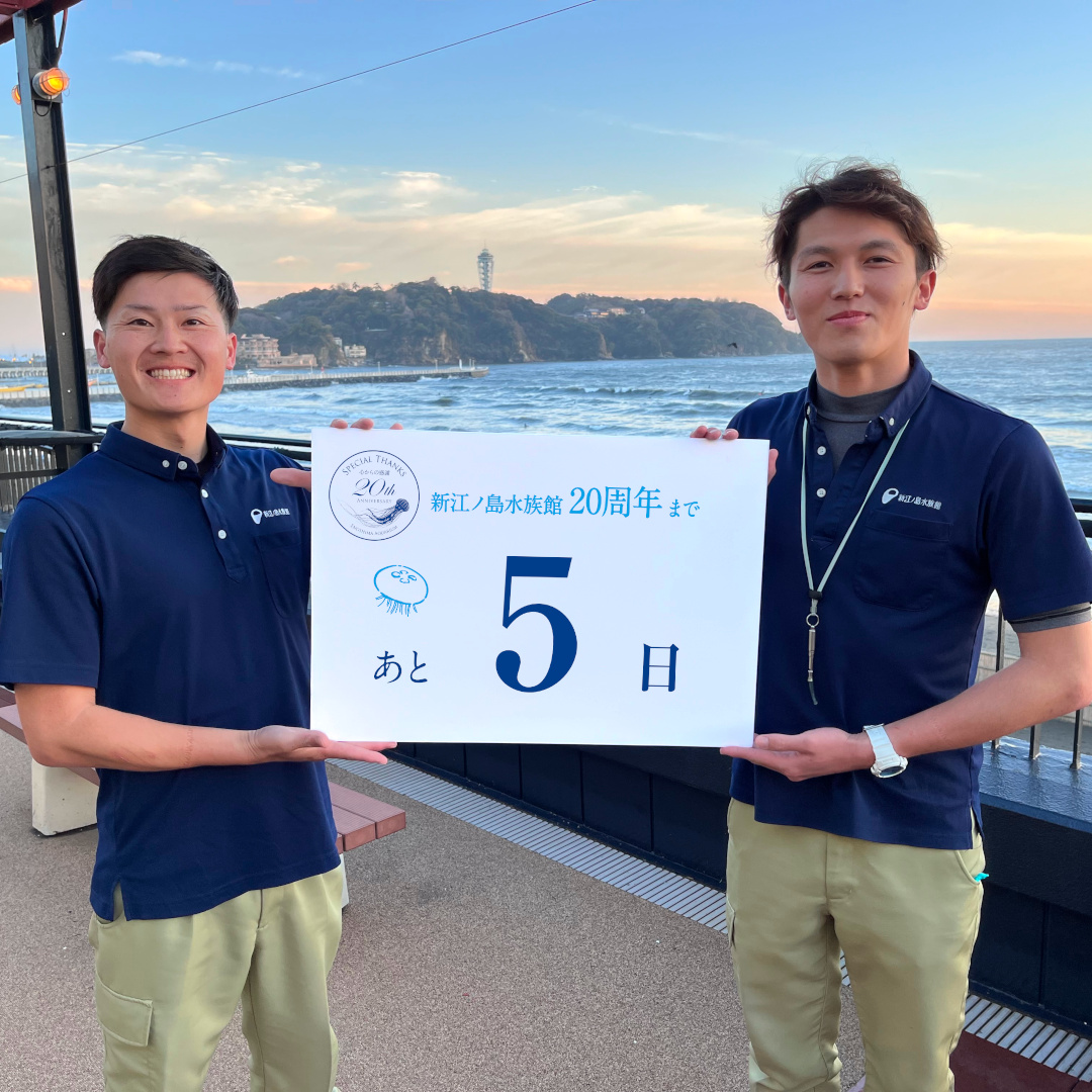 えのすい20周年カウントダウン⏲️ 記念スタンプを館内に設置し、自宅