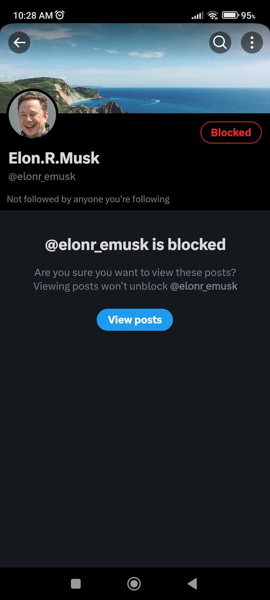 Sorry if I accidentally block a real Elon Musk request. Kinda stressful. 🤨