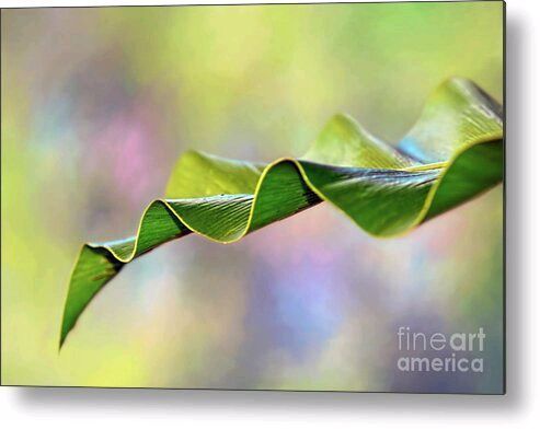 #Undulating #Nature by Kaye Menner #Metal #Print by Kaye Menner #Photography Wide variety #Prints & lovely #Products at: bit.ly/3UckUhS