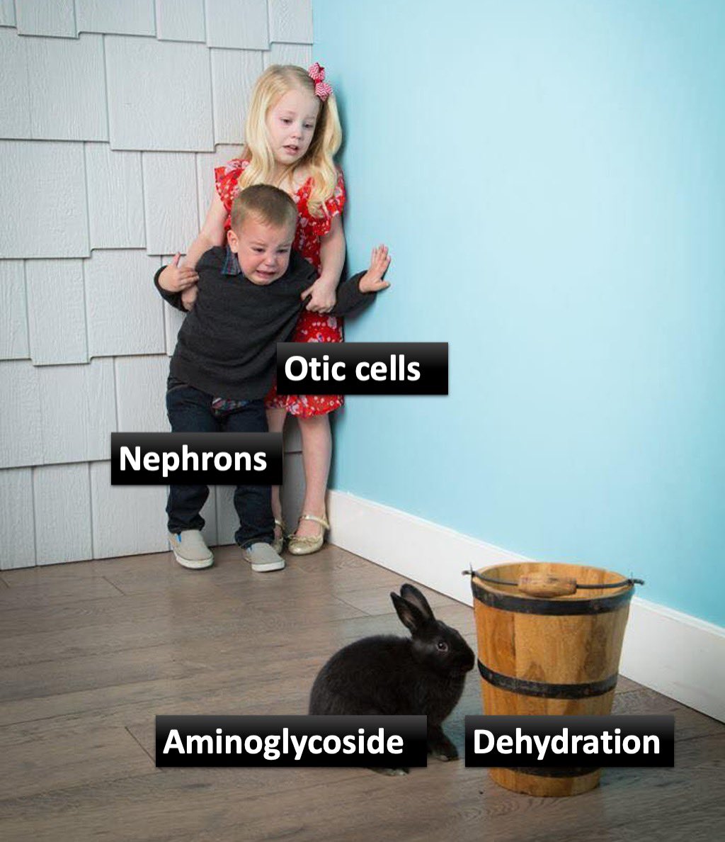 simplify_drugs's tweet image. NO 😥