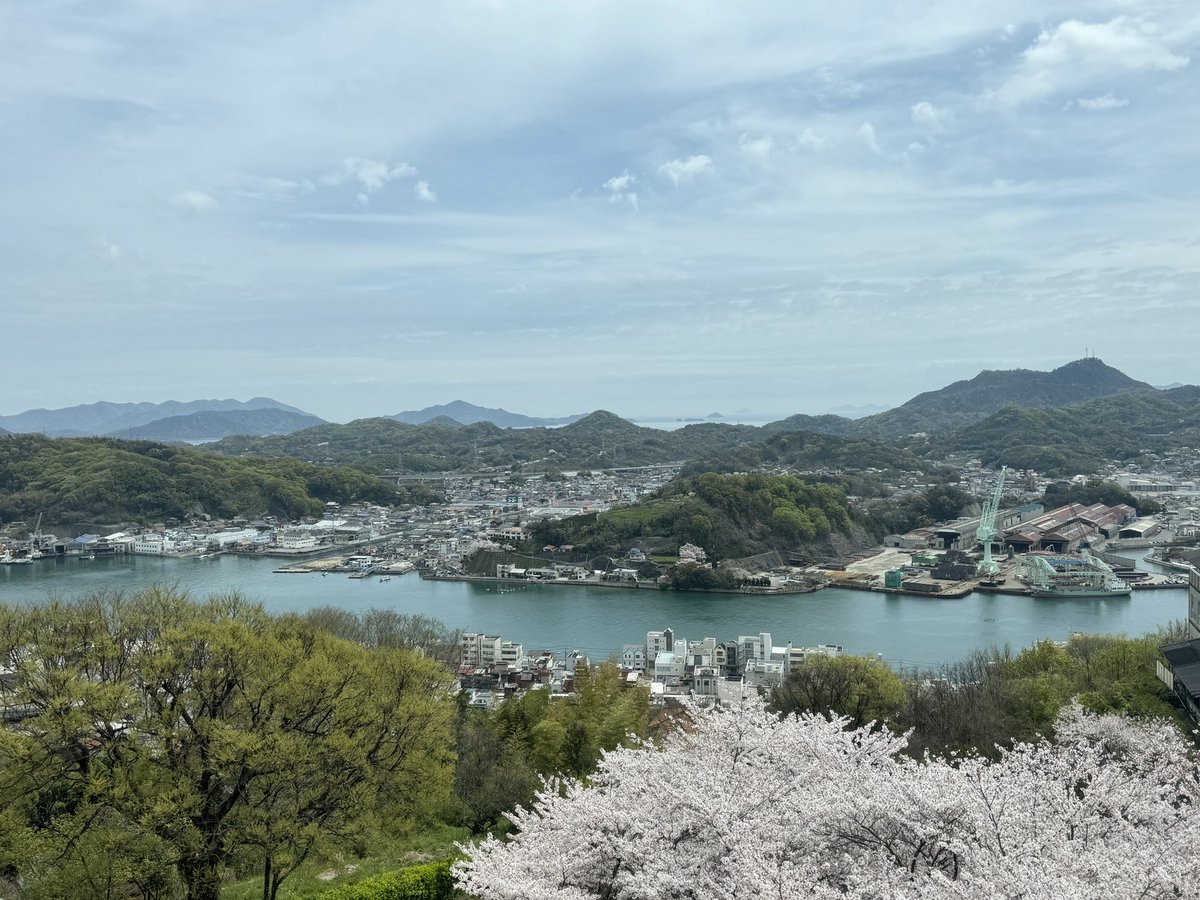 【午後の尾道水道 Onomichi Channel in this afternoon】こんにちは。 ただいま特別展「海からの贈りもの」開催中！よろしくお願いします。#尾道水道 #尾道 #日本遺産 #桜 🌸