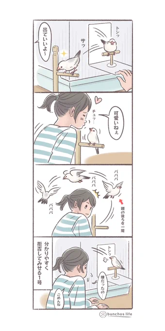 放鳥時、日課でお腹の匂いを嗅ぐコミュニケーションを取らせていただいてますが、数回に1回は拒否されます
#文鳥 
#4コマ漫画 