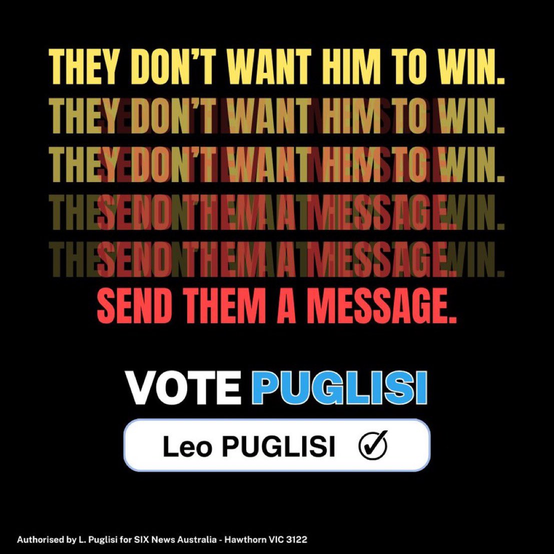 VOTE PUGLISI RIGHT NOW TO KEEP THE CAT PICS COMING