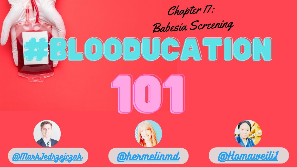 #Blooducation101 Chapter 17: Babesia Screening Do you know what is the leading cause of reported blood-borne pathogen in transfusions in the United States? If you read the title, you’ll already have a guess, it’s Babesia! Babesia is a parasite that infects and lives in our🩸
