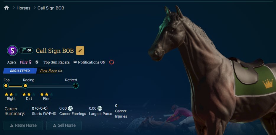 Top Gun Racers tweet media