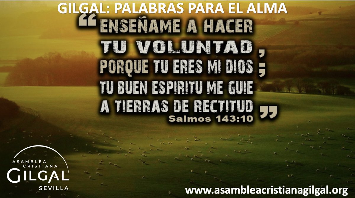 GilgalSevilla's tweet photo. La voluntad de Dios es perfecta para ti, Él y te quiere enseñar a caminar en ella. Que las diferentes situaciones por las que vayas a pasar en este día se conviertan todas en una oportunidad para hacer la voluntad de Dios, y para estar más cerca y lleno de Su Presencia. https://t.co/L8tWkq2Dud