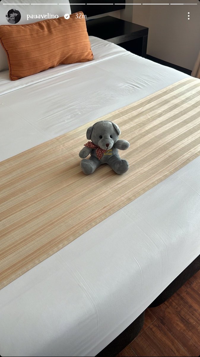 Hmmm? Bigla ko may naalala sa stuffed toy na ito. Mahilig kasi si ano sa mga stuffed toy.

#KimPau 
#LinlangKaramay