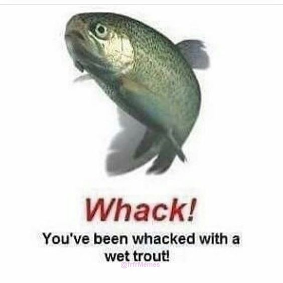 DrownyScott's tweet photo. https://t.co/uE58fnKNlI