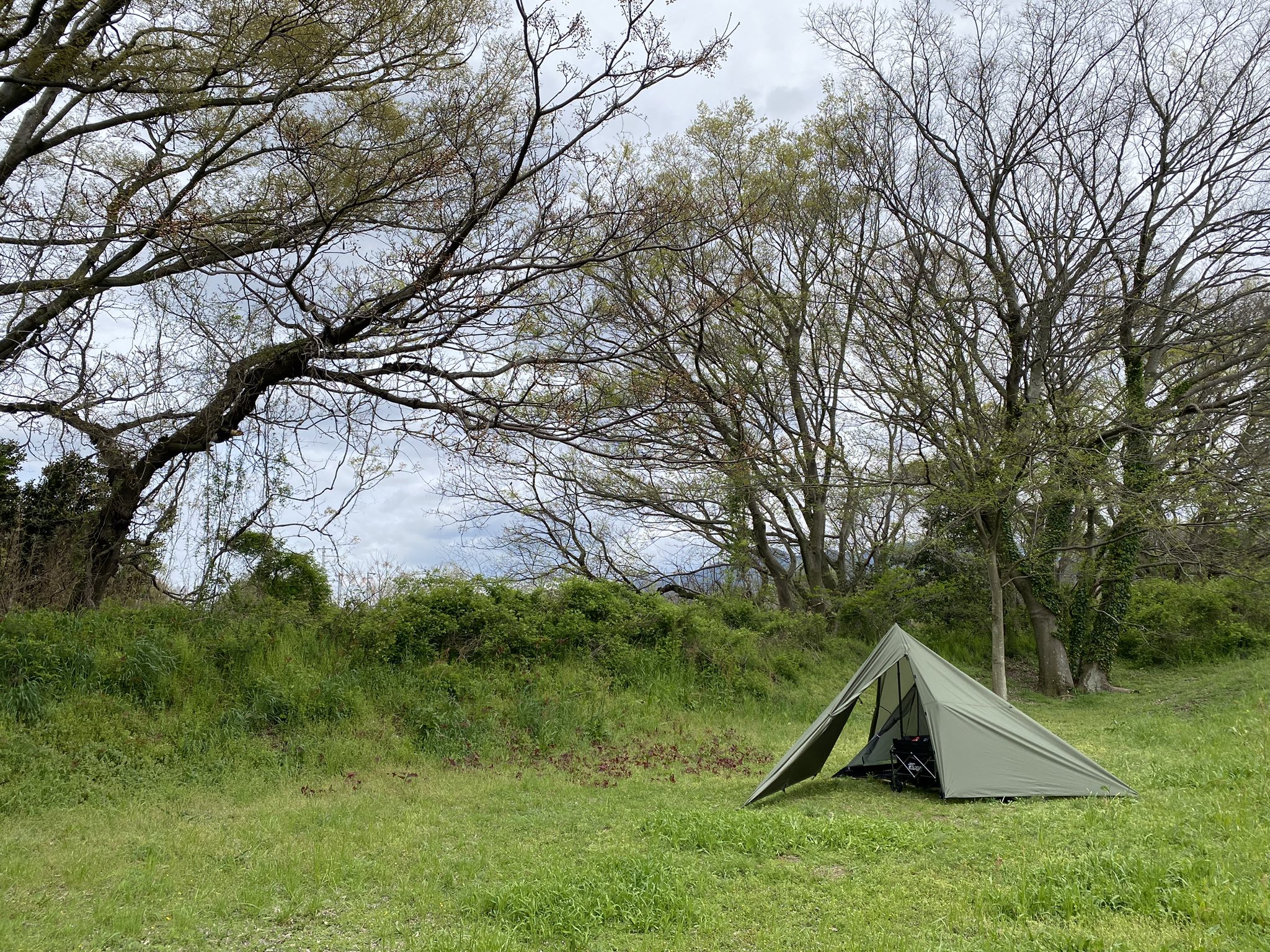 公式】DRAGON HORSE OUTDOOR (@DHOutdoor) / X