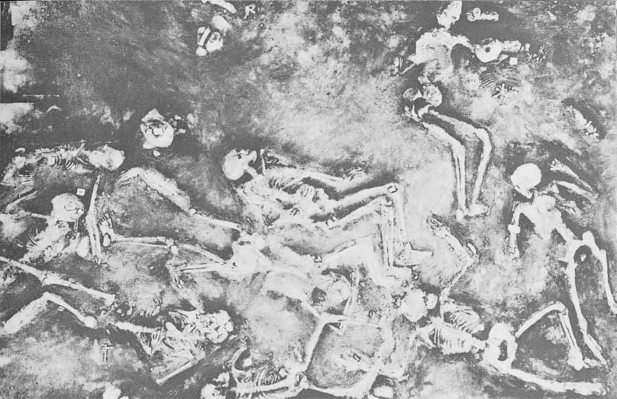 The cause of the death of the Sumerians was radioactive dust that spread and contaminated the entire area of Mesopotamia where they lived many thousands of years ago. 
 
The bodies of people holding hands found at Harappa and Mohenjo Daro under a layer of earth about 3 meters…