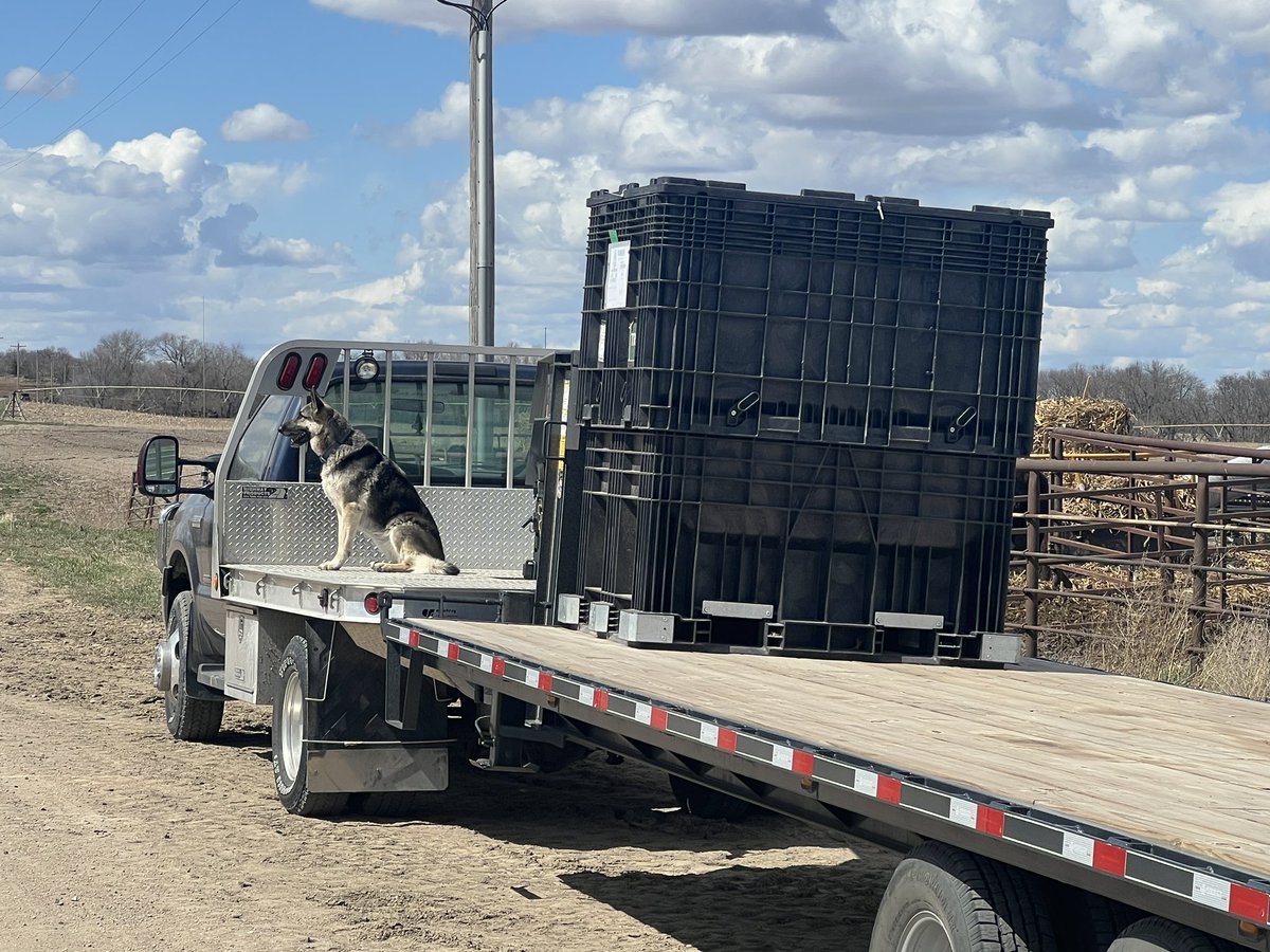 Dallas Choat tweet media