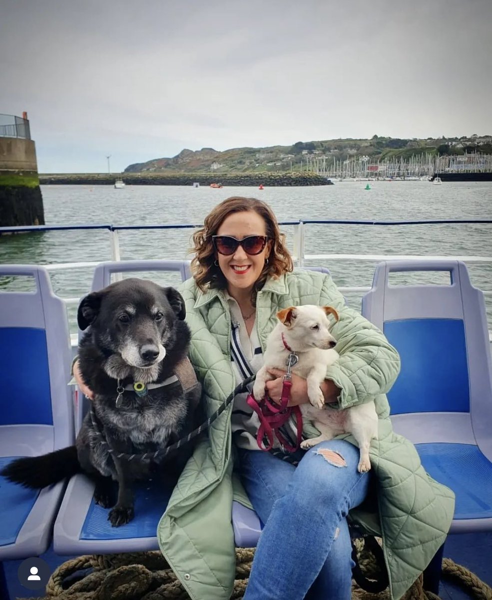 Happy #NationalPetDay ! 🐶 🐕 🐈‍⬛ We absolutely love these photos of some of our past passengers! ⛴️ All our cruises are dog/pet friendly so be sure to bring your furry friend along for a day on Dublin Bay! 😎 Link to book below 👇🏼 dublinbaycruises.com/book-now/ #dublinbaycruises