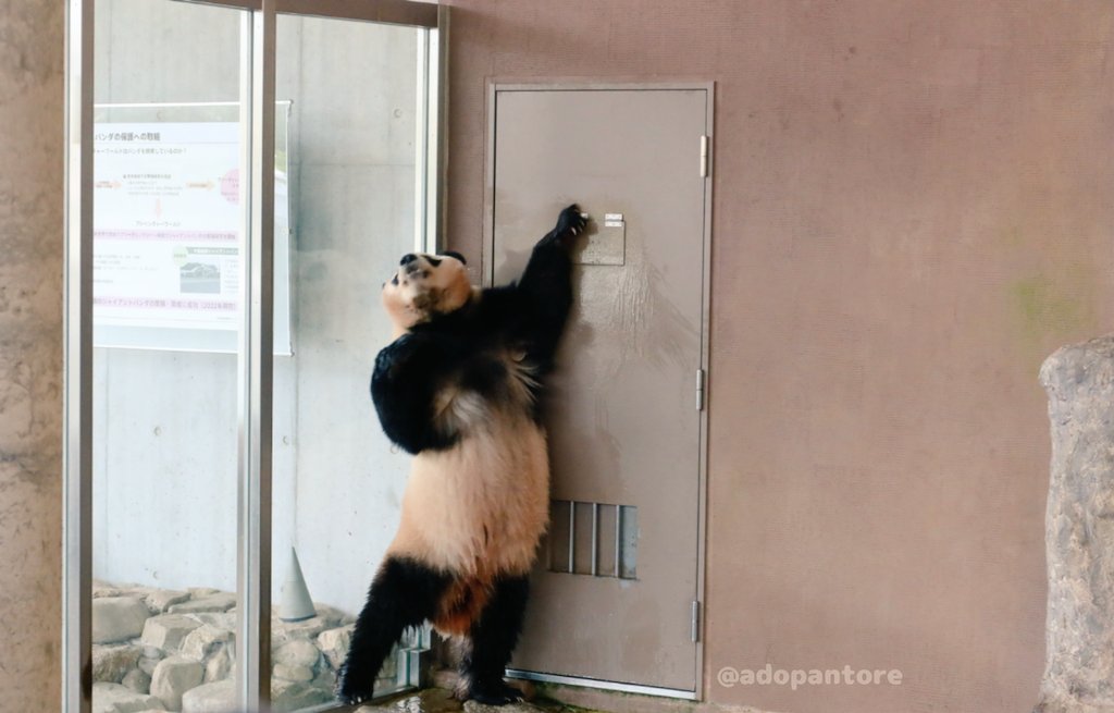 アドパントレジャー tweet media