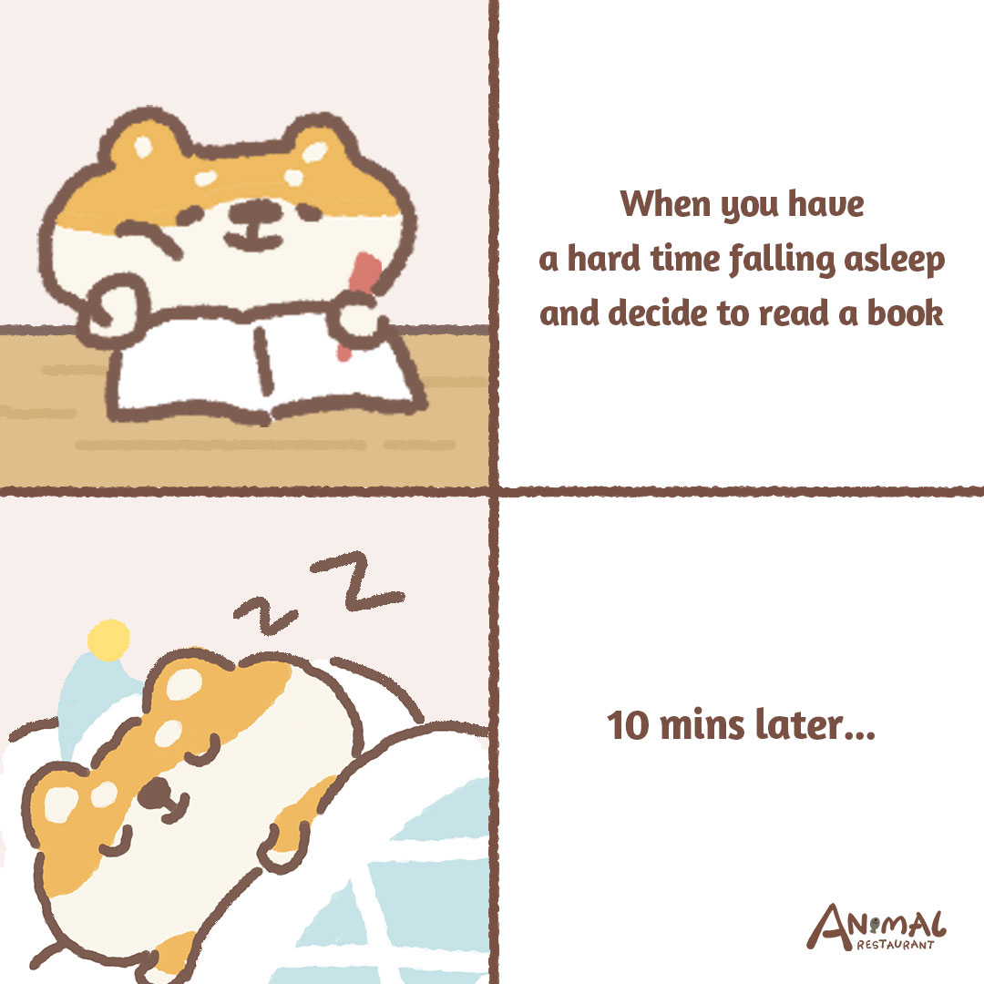 Struggling to sleep? No way! 📚Books can become bedtime journeys. 🛌🐾 #animalrestaurant #memes #books #reading