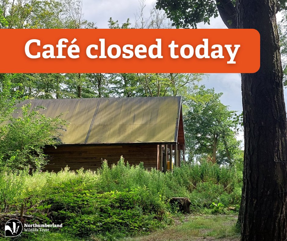 Unfortunately the café at Northumberlandia is closed today for unexpected repairs. We're sorry for any inconvenience this may cause.