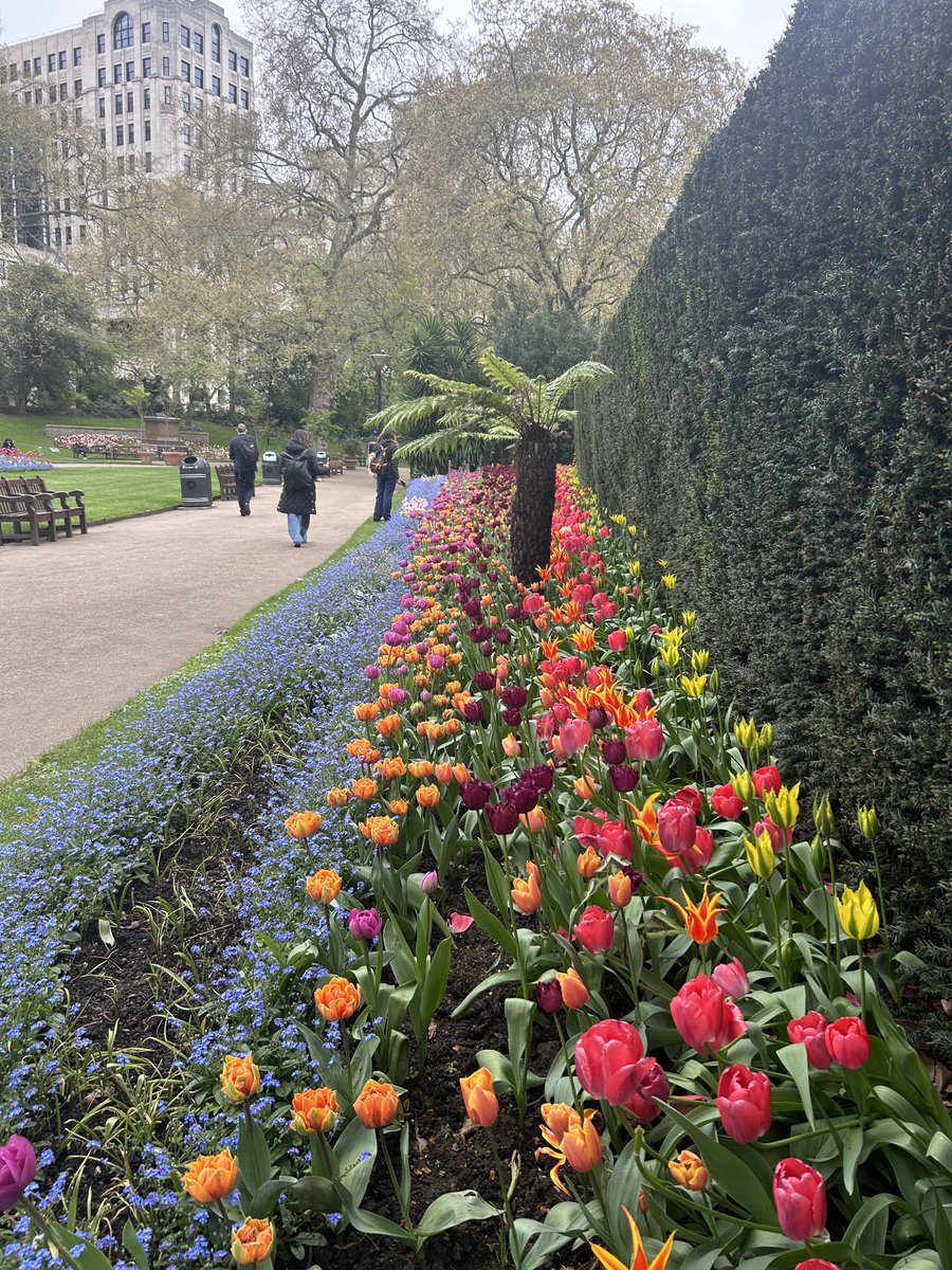 Heart warming photos of the Victoria Embankment Gardens London, this morning. Wishing you a good day.