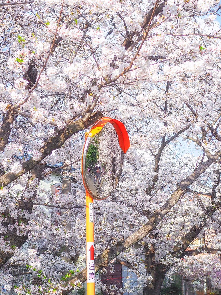 来年もこの場所で君と。