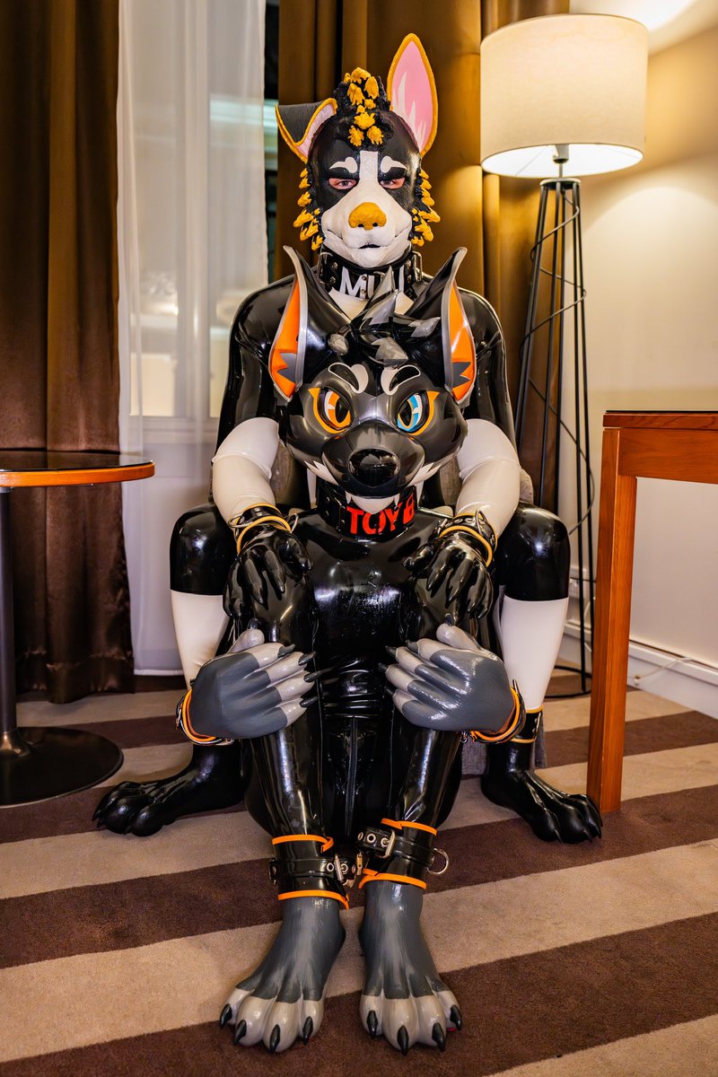 Turned into rubber furry during #nordicfuzzcon and spent some time with the cute @SwodeLtxWolfAD, strong @derg_n and beloved @PupMuli. Hood : @karinKariwanz 📷 @tihmouse ❤️ #latex #rubberfur #furry #rubber #latexfur