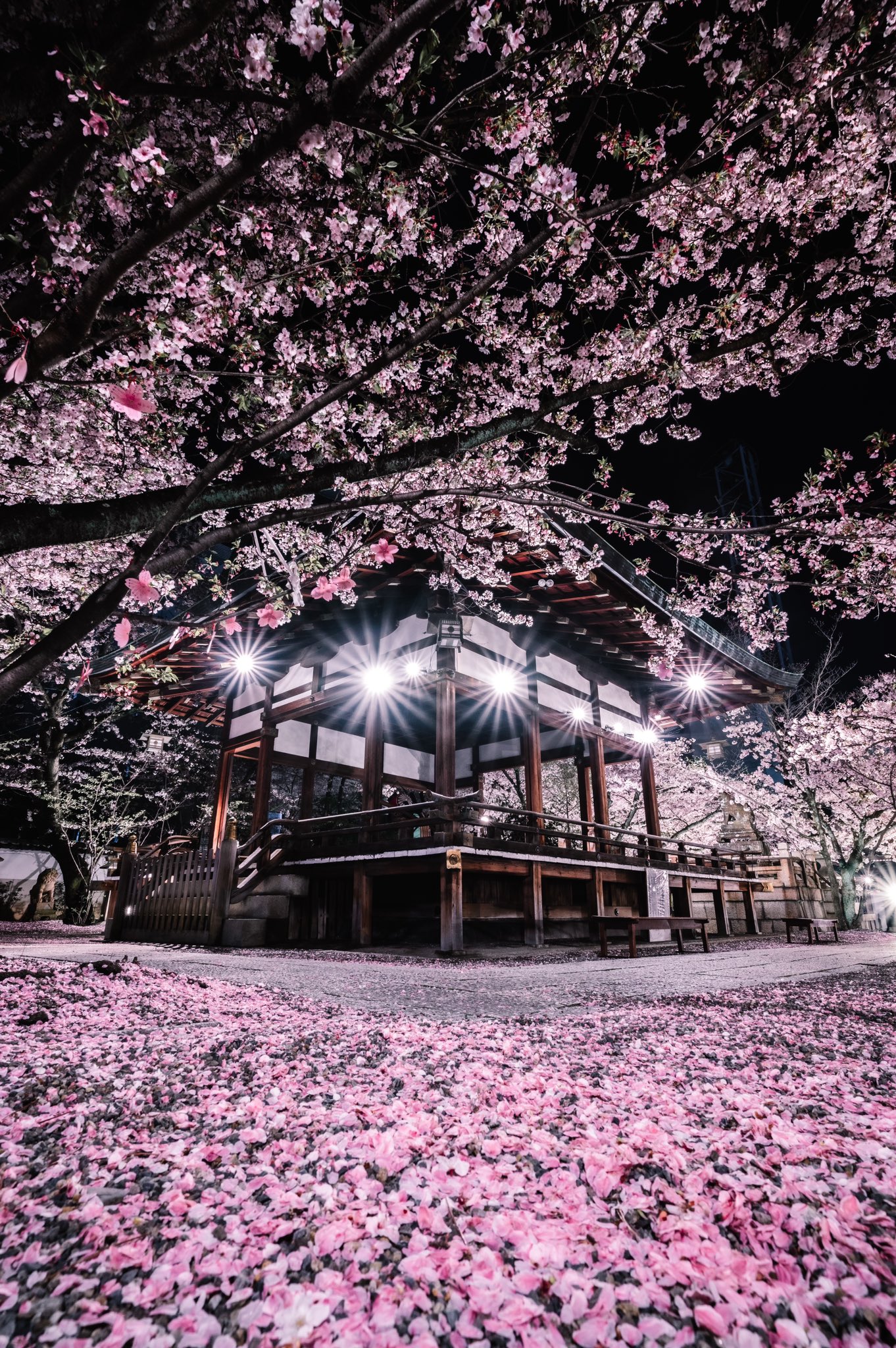 アマナツ 上梨夜雪 ライブver. ロングタペストリー