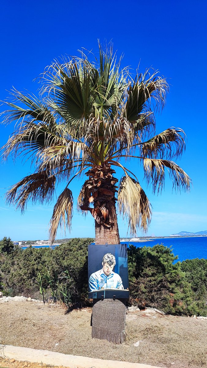 FedericoMarin's tweet image. En Formentera te puedes encontrar a Magnus Carlsen colgado de una palmera, en el buen sentido. Es la señal de que un fotógrafo importante está a punto de llegar al @SunwayChessOpen #ChessinParadise