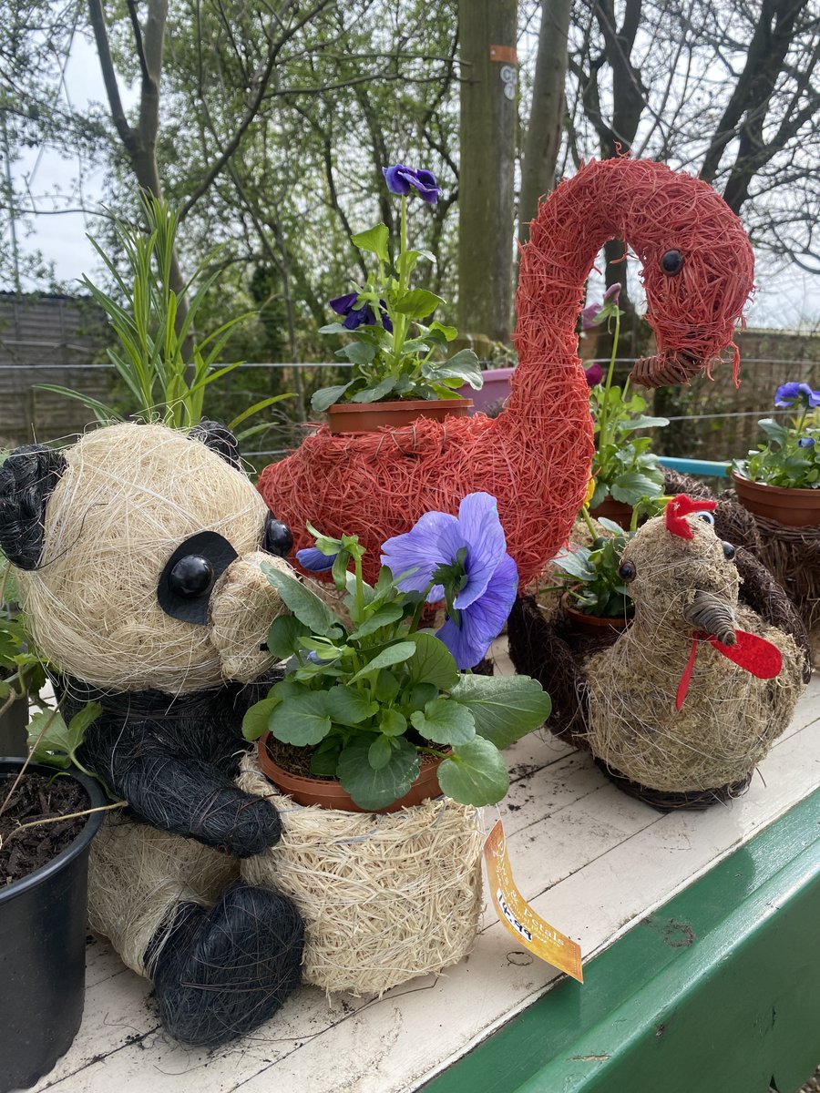 We have started to restock our plant and plant holder selection here at the sanctuary, all of which are on sale for our visitors to purchase. All profits raised are used to care for our rescued residents, and every penny helps! #charity #plants