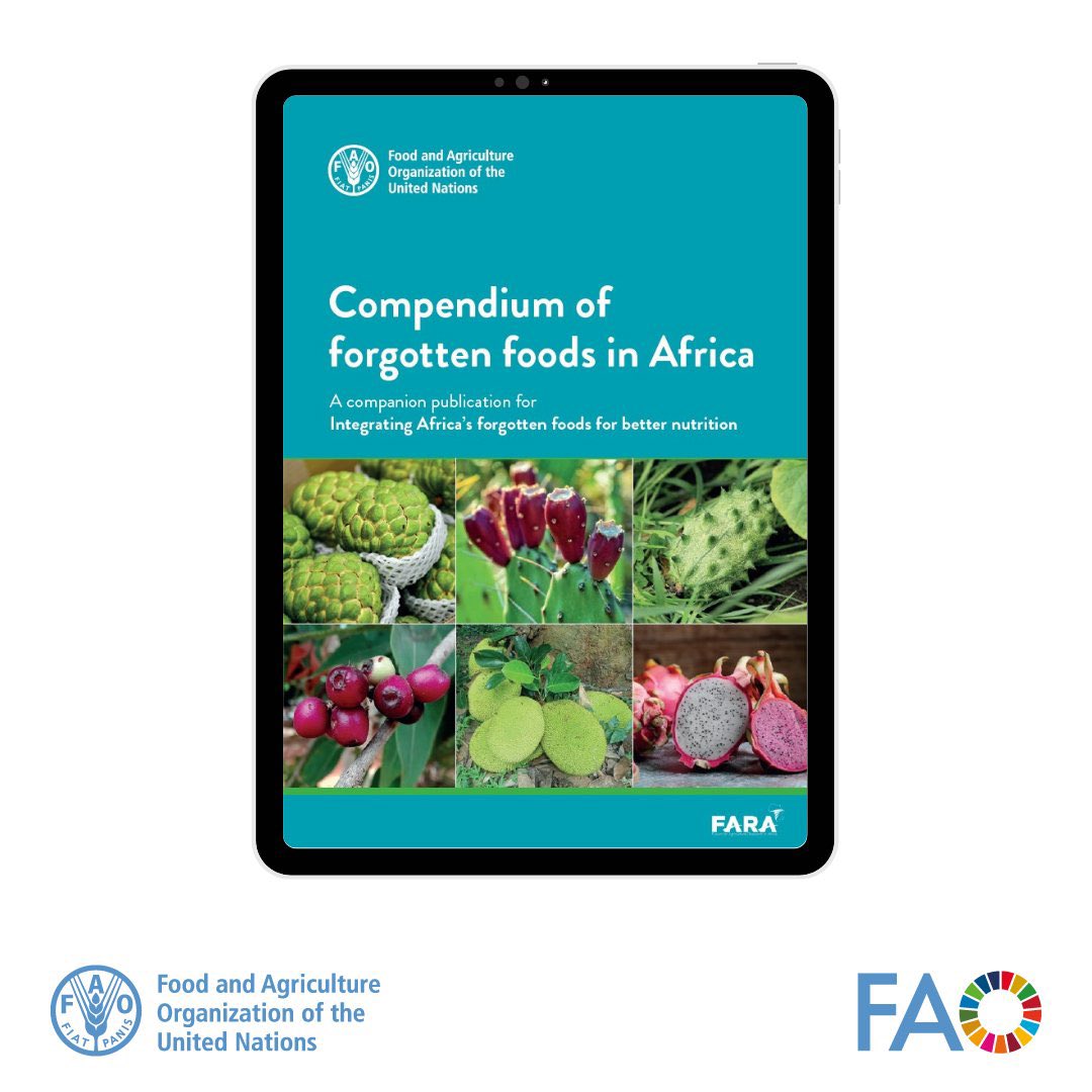 Just released! 📗 Rediscover Africa’s “forgotten foods” and their pivotal role in transforming food systems for sustainable futures This @FAO compendium shines a light on Indigenous crops crucial for food security and nutrition. 👉 doi.org/10.4060/cc9659… #BetterNutrition