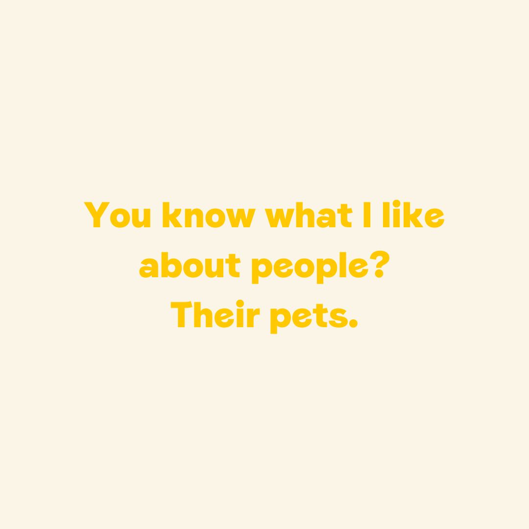 To celebrate #NationalPetDay, describe your pet in one word below 👇💛

[Image description: A quote card with yellow text that reads: You know what I like about people? Their pets.]