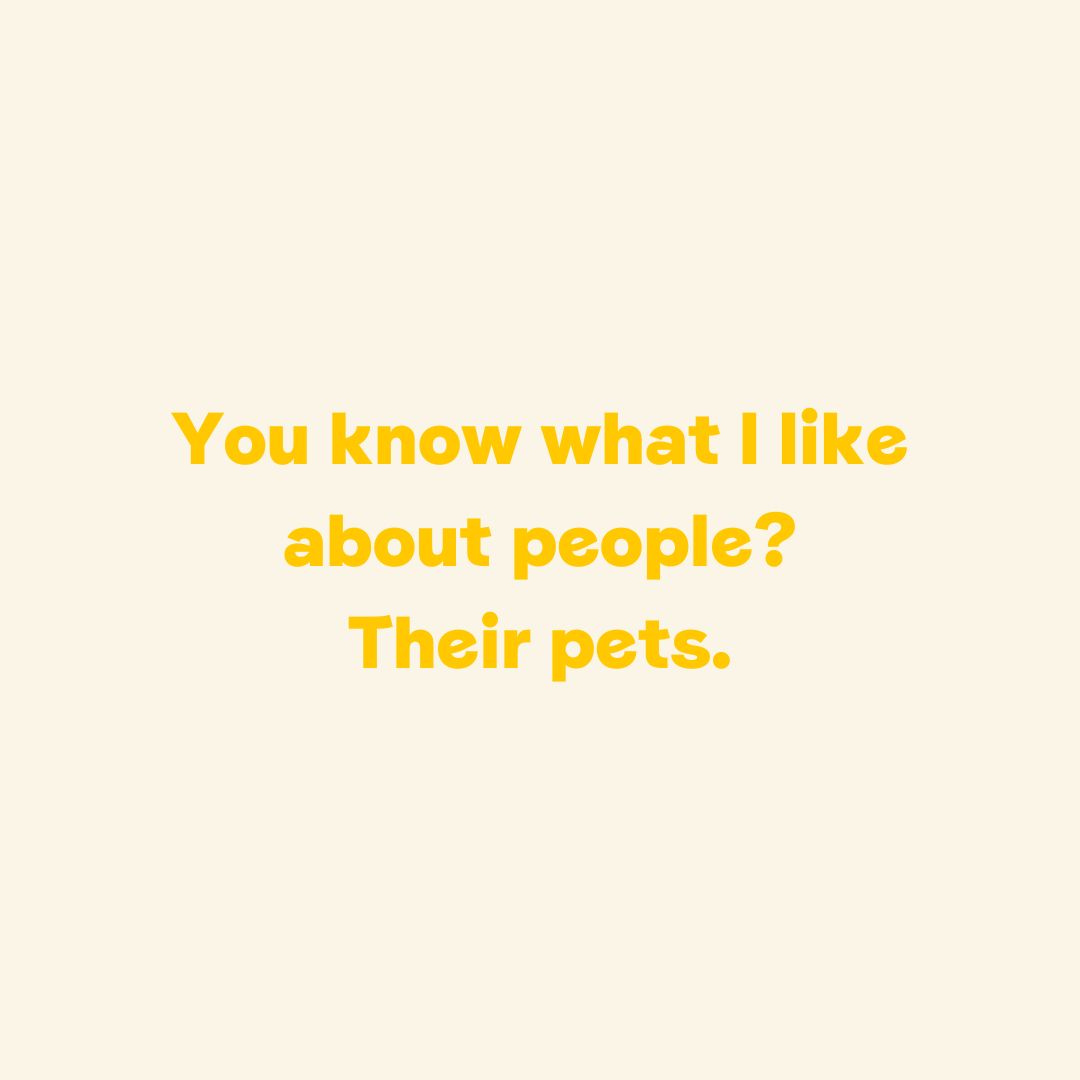 To celebrate #NationalPetDay, describe your pet in one word below 👇💛 [Image description: A quote card with yellow text that reads: You know what I like about people? Their pets.]