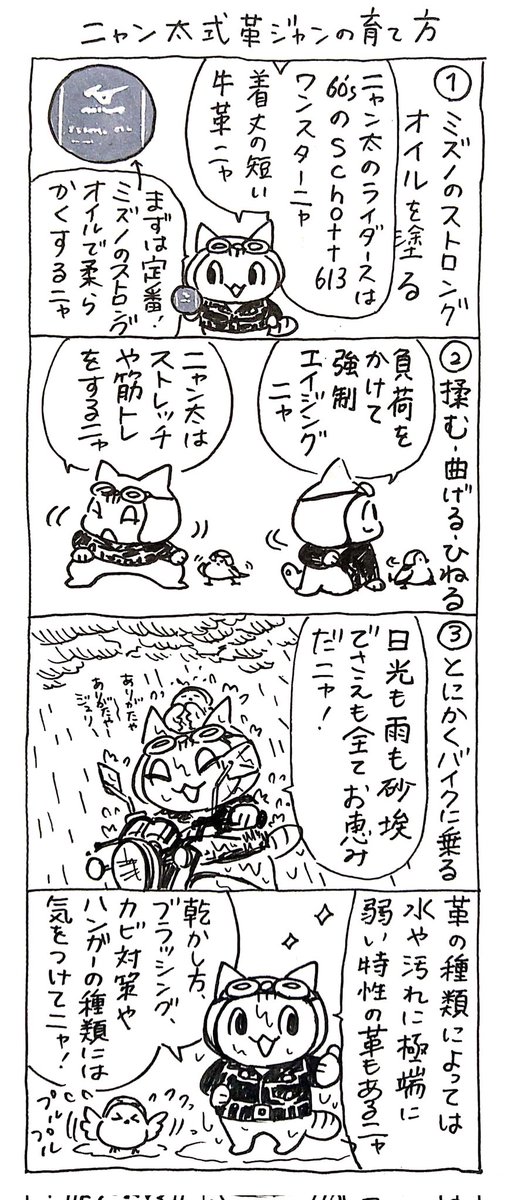 4コマ漫画「ネコ☆ライダー」
ニャン太式革ジャンの育て方🏍️🐈️ 