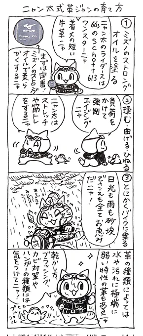 4コマ漫画「ネコ☆ライダー」
ニャン太式革ジャンの育て方🏍️🐈️ 