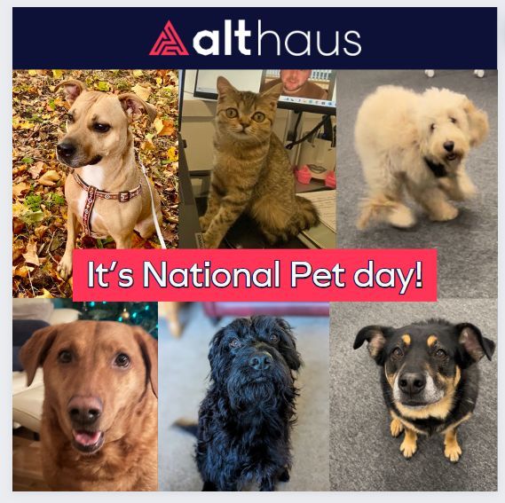 Happy National Pet Day! 🐾 

#nationalpetday #furfamily #petlove