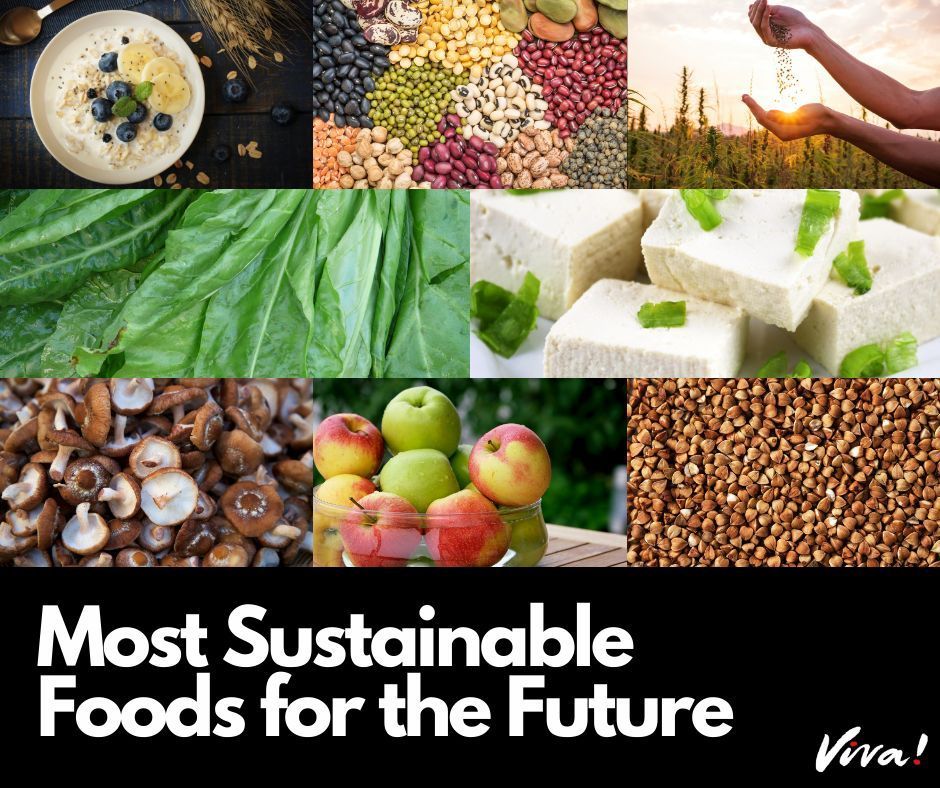 Is your diet sustainable? Find out 👉 viva.org.uk/health/health-… #sustainable #sustainablefood
