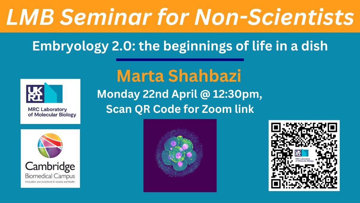 Don’t miss the next #LMBSeminar for Non-Scientists, delivered with @CamBioCampus. From 12:30pm (BST) on Mon 22 Apr @Marta_Shahbazi, Group Leader in @CellBiol_MRCLMB, will cover ‘Embryology 2.0: the beginnings of life in a dish’ Join us online: mrc-lmb-cam-ac-uk.zoom.us/j/92071894378?… #CBCoVT