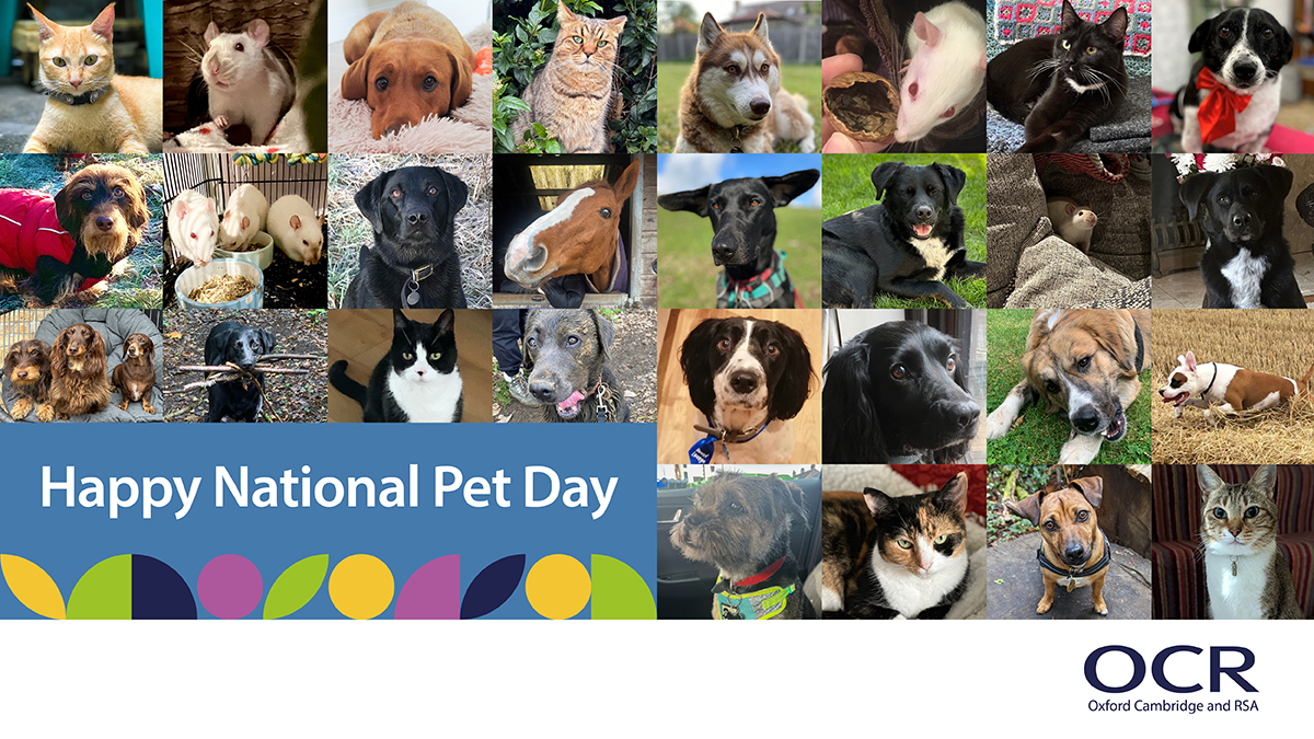 Happy National Pet Day! 🐾 We're celebrating by sharing photos of our team's beloved pets. Check out these adorable faces ❤️ Wishing all pets lots of cuddles and treats! #NationalPetDay #TeamPets #FurryFriends #PetsOfTwitter