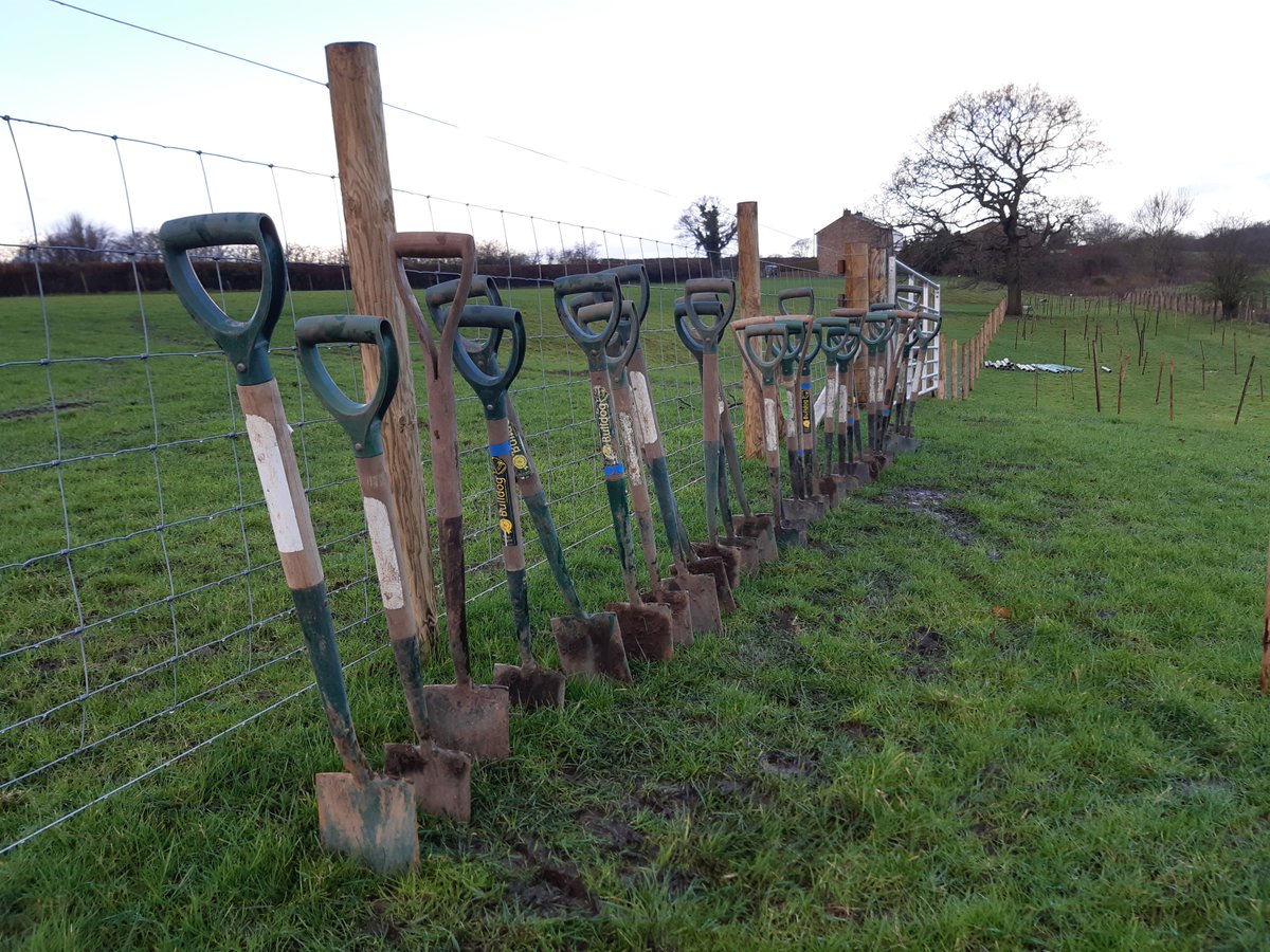 We will be #treeplanting at Pope Lane #Preston on Saturday 27th April. Volunteers welcome to join us. For all the details and to book your place, visit:
tickettailor.com/events/ribbler…