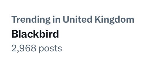 This is the most British thing I’ve ever seen 🐦‍⬛#twitchersahoy