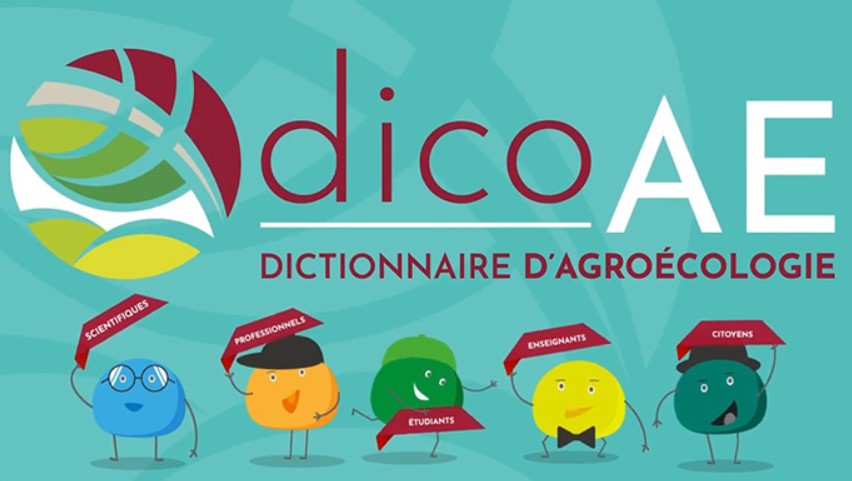 Avec ➕ de 150 définitions 📗 et 50 vidéos 📽️ le @dicoAE a pour vocation d’aider à construire un langage partagé autour de l’#agroécologie pour permettre au plus grand nombre d’en comprendre les enjeux et les pratiques Découvrez ses dernières nouveautés 👉url.inrae.fr/3vqIXzz