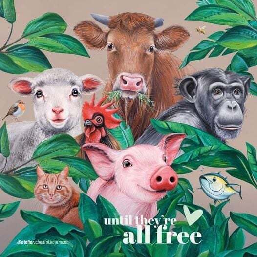 #veganism #crueltyfree