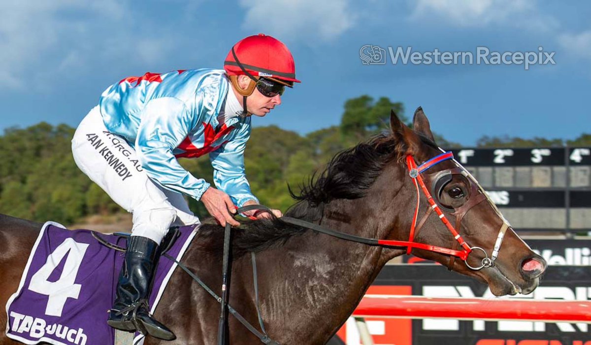 YES OF COURSE - Albany Thurs 11th April @AlbanyRacing #WesternRacepix #AmazingAlbany More 📸 westernracepix.com
