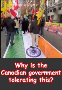 There is a secret deal 🤝 between Justine Trudeau and Khalistanis that's why Canadian government tolerating all this drama. #CanadaBehindKhalistan