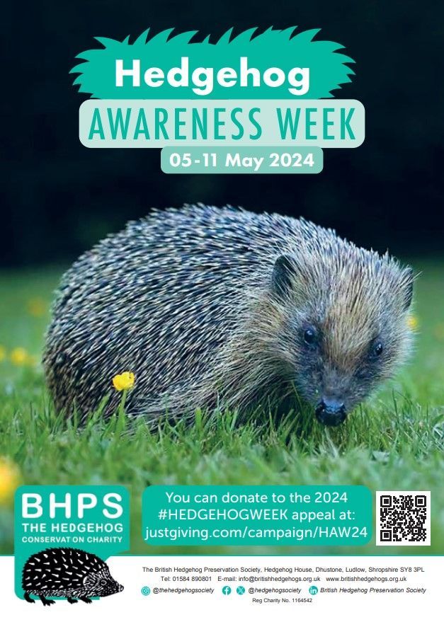 #Hedgehog Awareness Week is back 5-11 May!   🦔 Help spread the word - share this or email info@britishhedgehogs.org.uk to request paper posters to put up in your neighbourhood or work place or hand out to neighbours! Download the #HedgehogWeek poster 👇 buff.ly/3TNhBgR