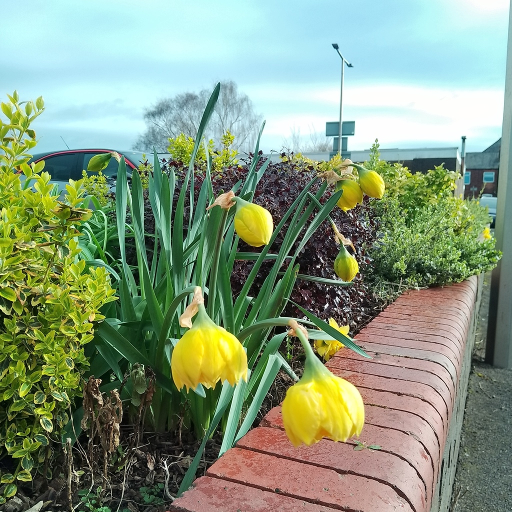 Grow Edgeley tweet media