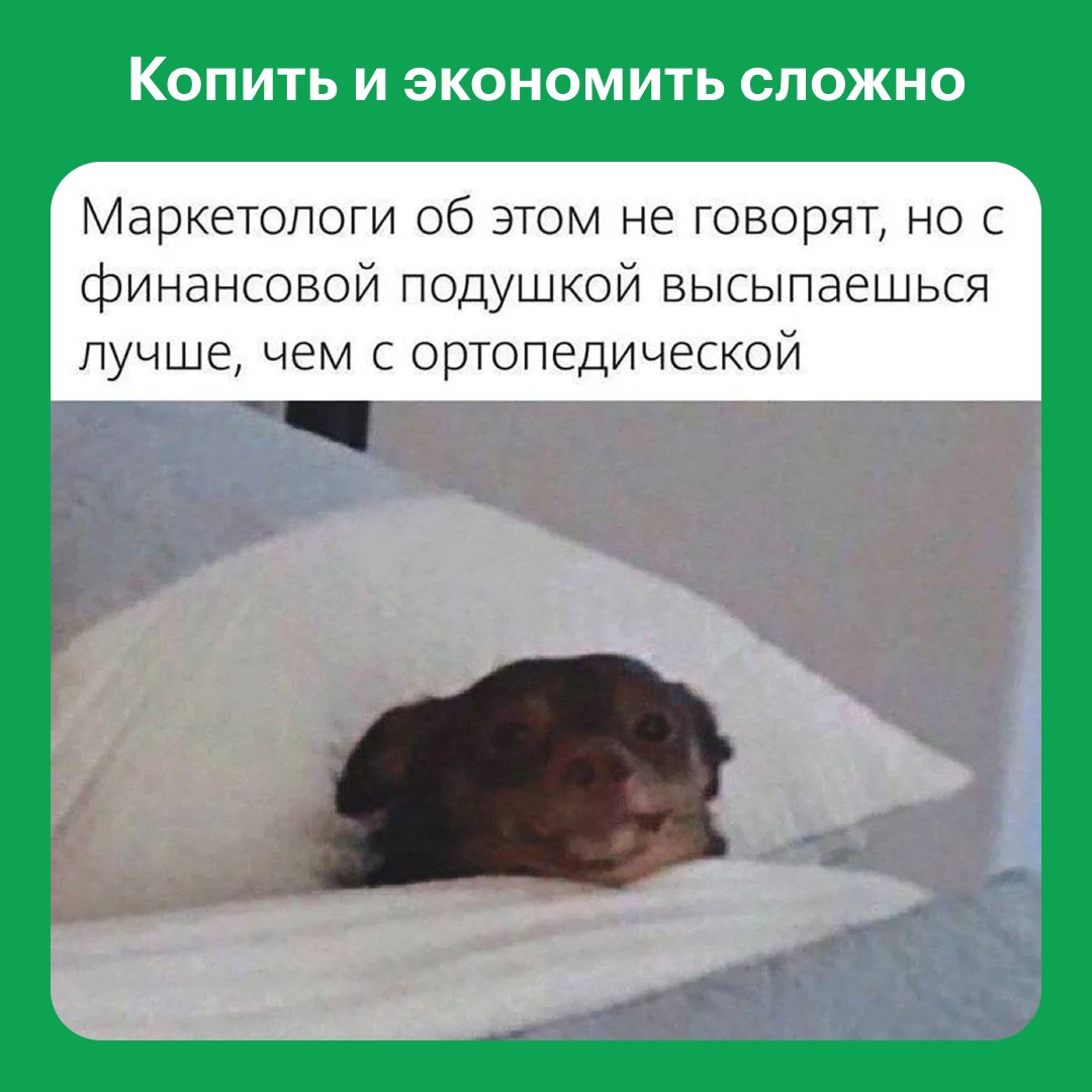 t_jrnl's tweet photo. Мы: вот разные финансовые ситуации.
Читатели: ловите мемы про них, чтобы стало смешнее.

Еще больше мемов тут:
https://t.co/aOn0FBV4VL https://t.co/TYCMH3FZDq
