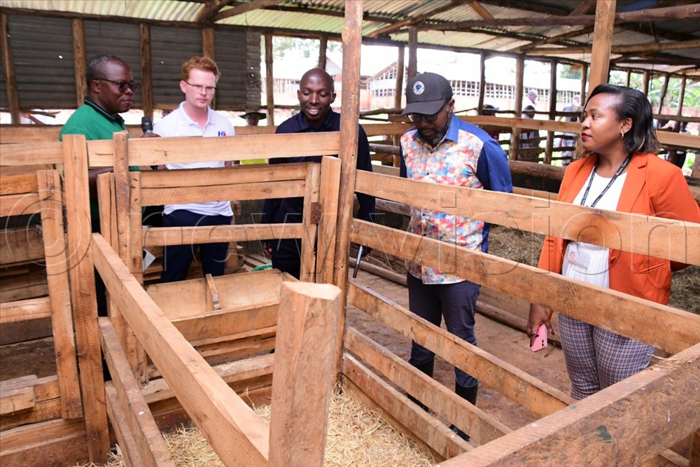 '2024 marks 10 years since the Best Farmers Competition was started, however, because we missed out in 2021 due to the lockdown, this is our 9th edition. Across the years we have been able to produce a total of 111 winners,' said Vision Group Chief Executive Officer @nyamadon.…