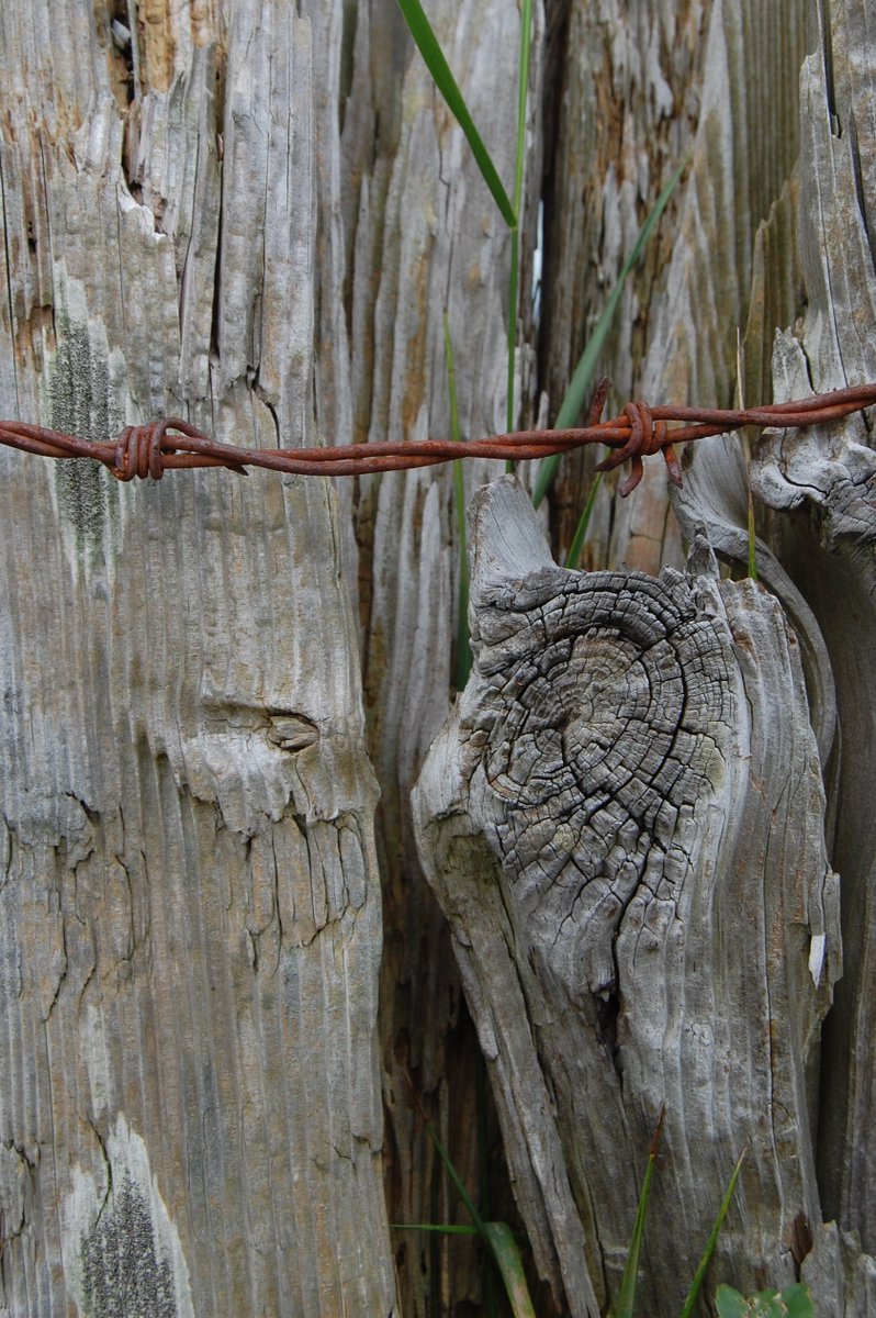 _doitproperly_'s tweet image. 