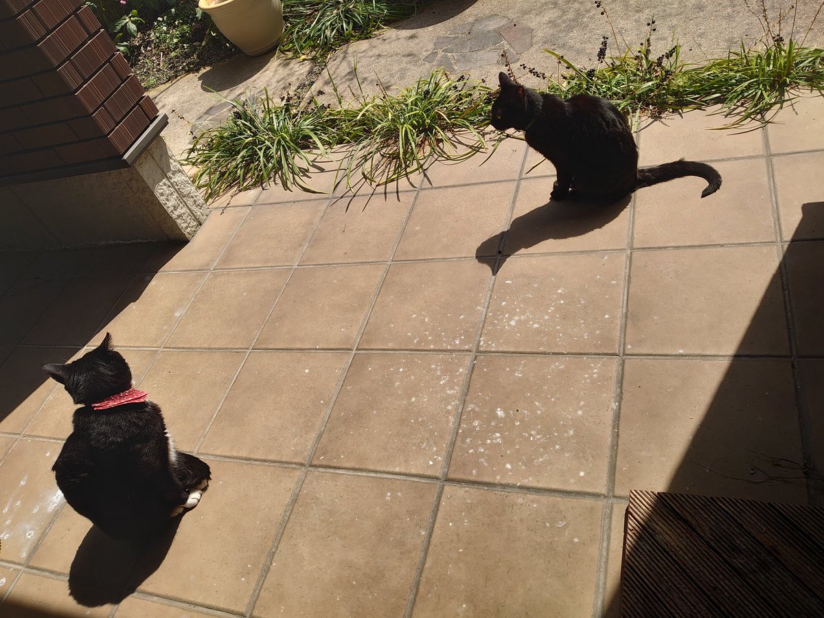 あまべ tweet media