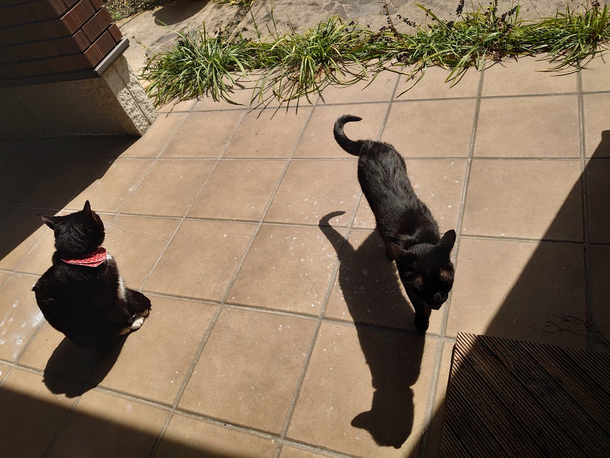 あまべ tweet media